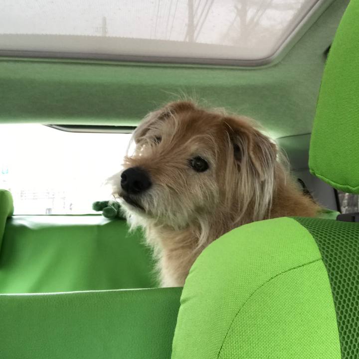 49cfb0db df6b 483d b2ed a6031822c852 1615133121821