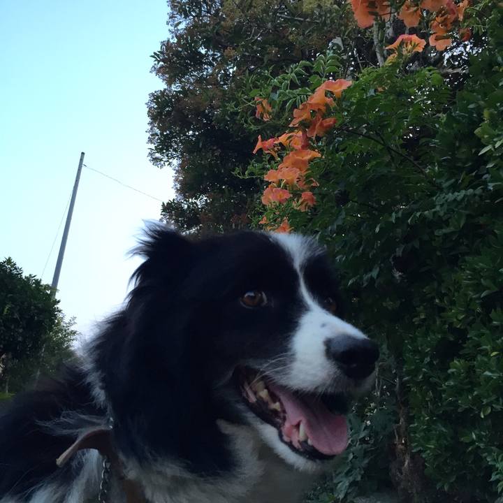 49cff55e a054 464d 9114 7f04a8de8a96 1532551843191