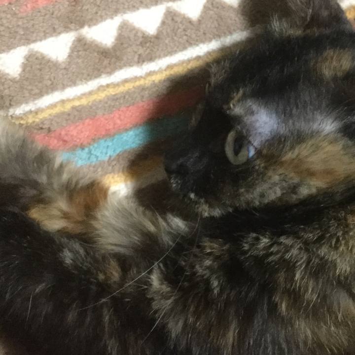 49d0430b 26f1 4c32 ae00 45d43669c491 1560259086638