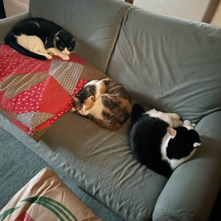 49d05923 4ccd 4e54 8a84 883d0bc322f4 1728105355905