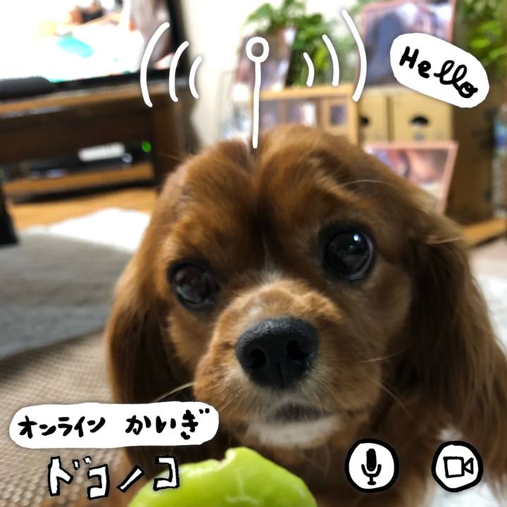 49d05f8f 09da 4dae aeb7 64b8f71fd241 1590702147533