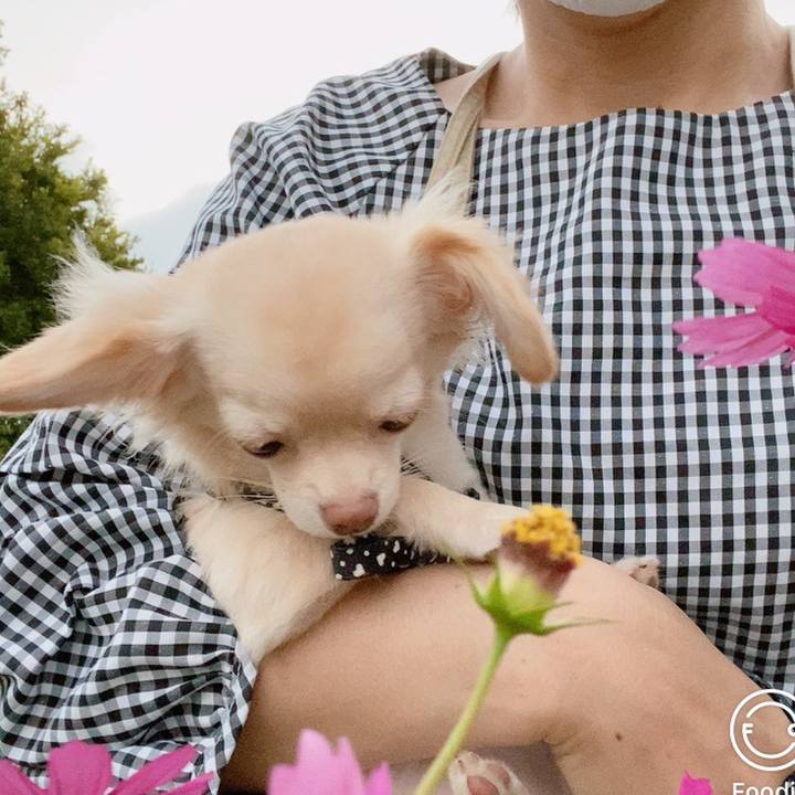 49d08712 6ed0 4947 8674 cdbf9c21504f 1602496418536