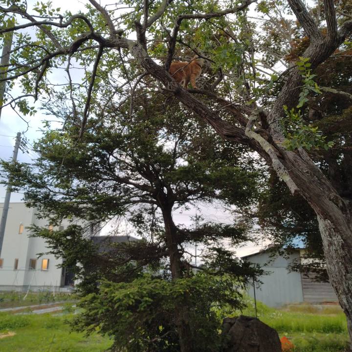 49d0a86a 3432 47d6 b5bf e912de4be284 1687130480434