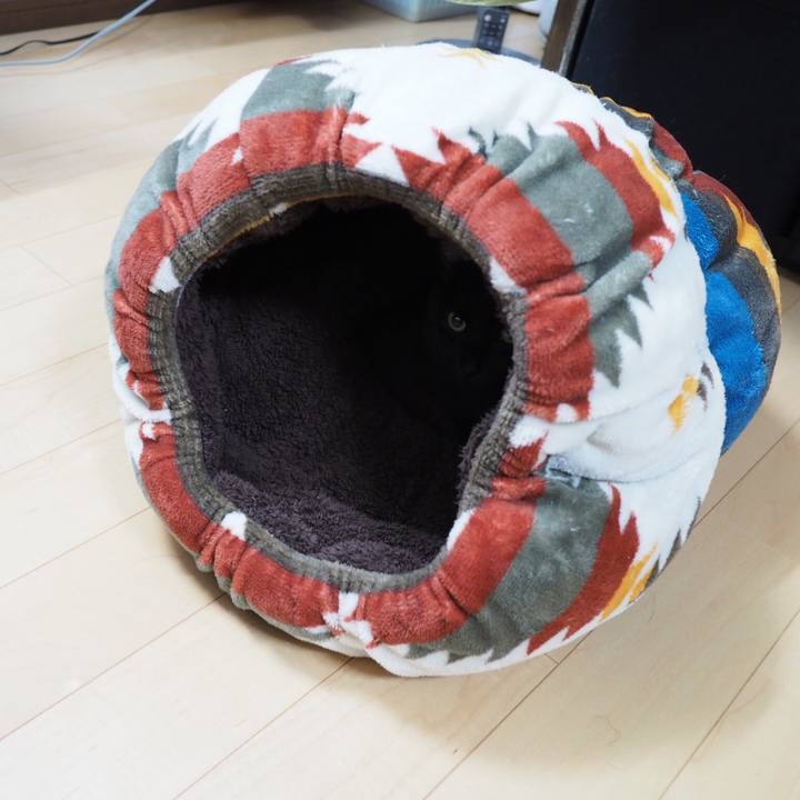 49d0b313 b78d 4154 b4fa 3fde51e35e69 1544654762672