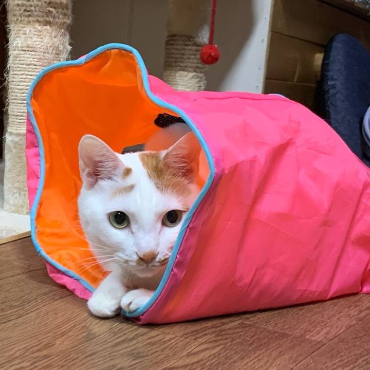 49d0d1a5 fbdc 49e4 962d 670a89340d1a 1580853669641