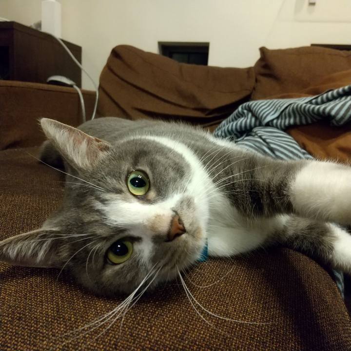 49d0e7be df0e 4c5d bf7b 7c0640d5637f 1628595221713