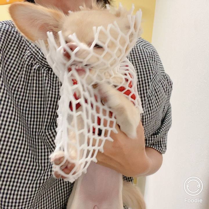 49d0febb e729 4c95 88b1 3c993f76fcfc 1606012414080