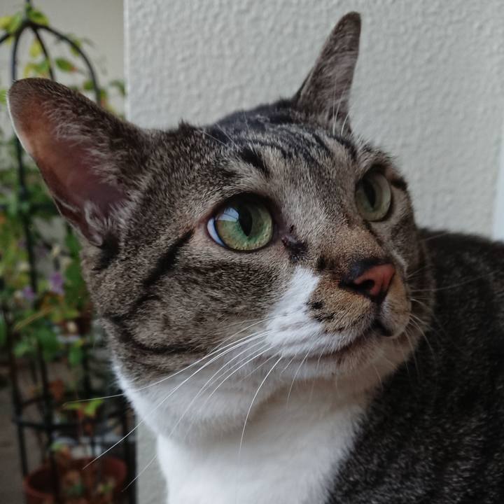 49d142b9 e176 4b33 b98d 2457d9915d4e 1537570027177