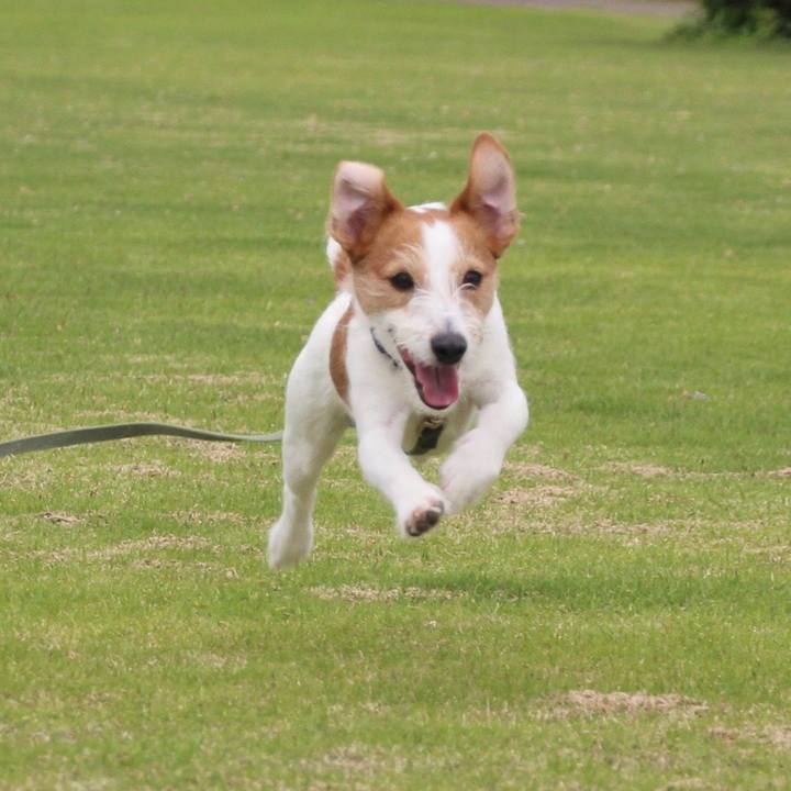 49d16ea2 0d12 4f69 8de9 bfe4a0580546 1525094156697