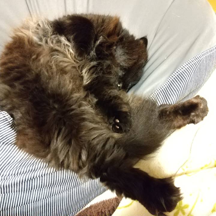 49d1927f ec48 4961 8f3c b444720df45f 1586949152701