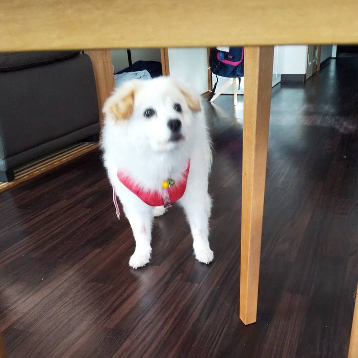 49d1cb0e caa3 460d a89d a42501dd18db 1655852228988