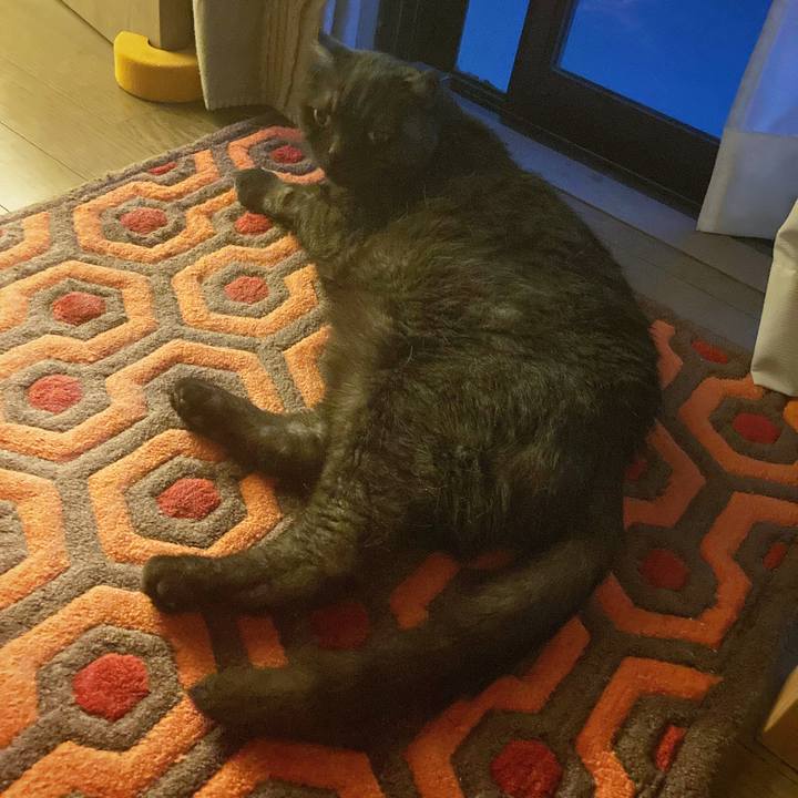 49d20279 f4c6 4929 bca0 b76b20ad79bf 1591634967954