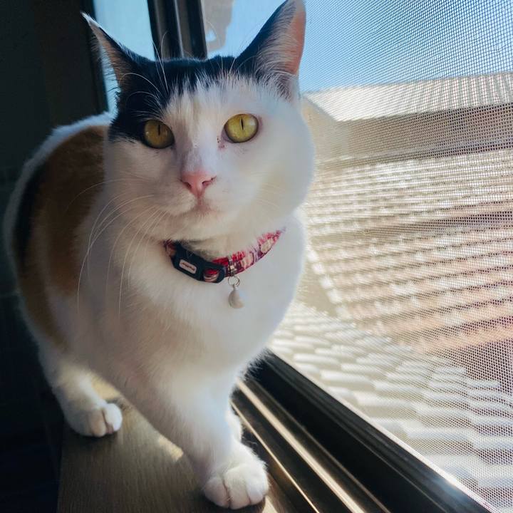 49d2a949 af56 4b35 b606 3f4ab0e78986 1648945231192