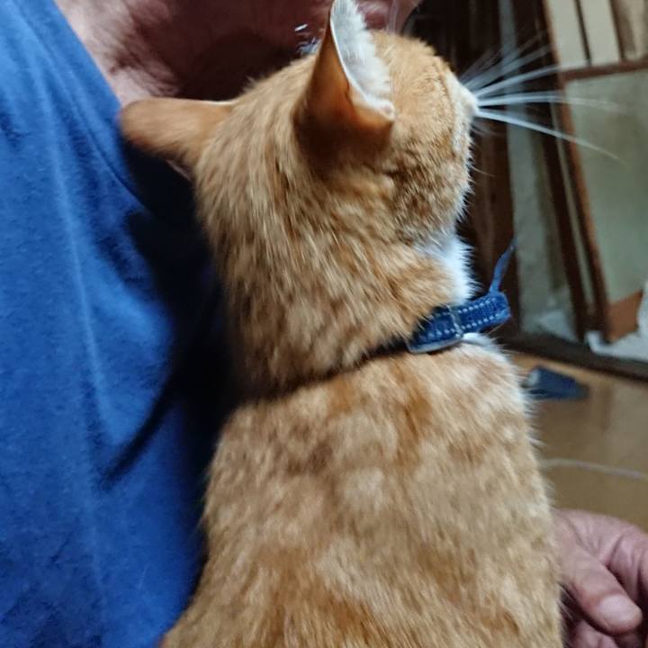 49d2db81 09c4 4737 813c 7e5f26b0fb2f 1598299359354