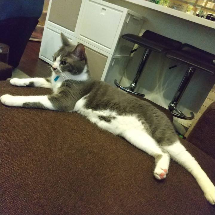 49d2e9cf 7284 42b7 bc03 7a86d0ac7750 1621503017329