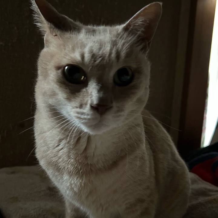 49d311c4 4327 44fe b517 91ea5fd886df 1776552920878