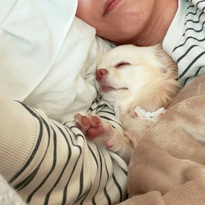 49d32e86 2b6c 47c6 bdd0 becdb0055b9e 1700791317942