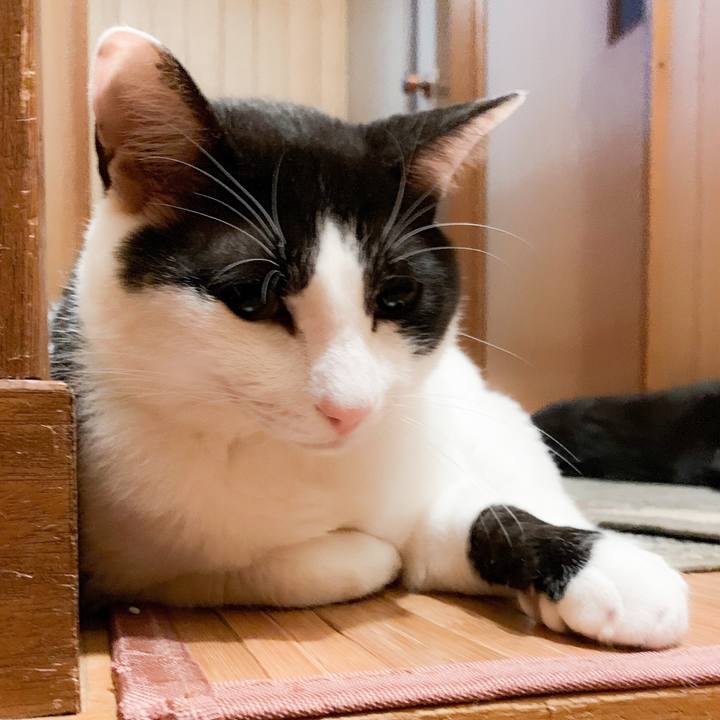 49d34090 937c 4b43 94c0 635756b3a6eb 1562638092360