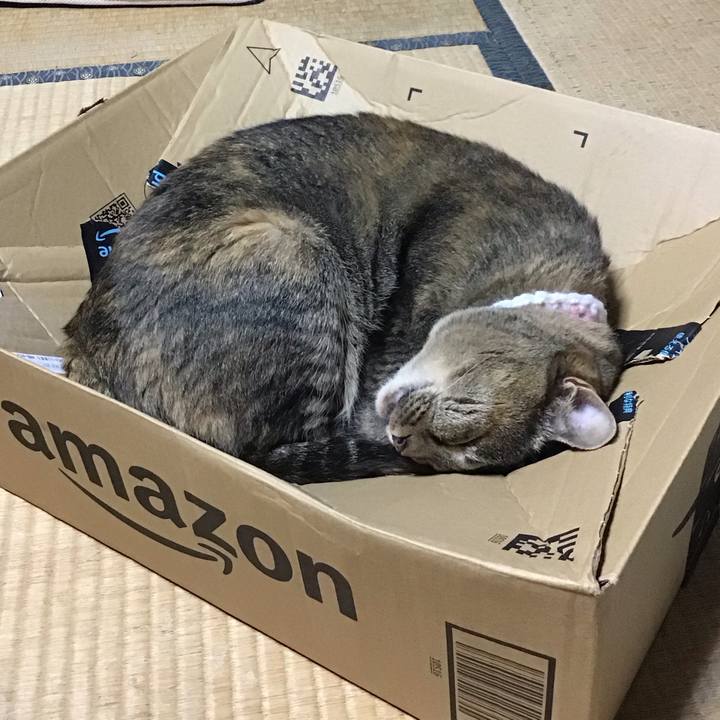 49d388fb 8b31 4419 8e36 f57b1096ff78 1724411667198