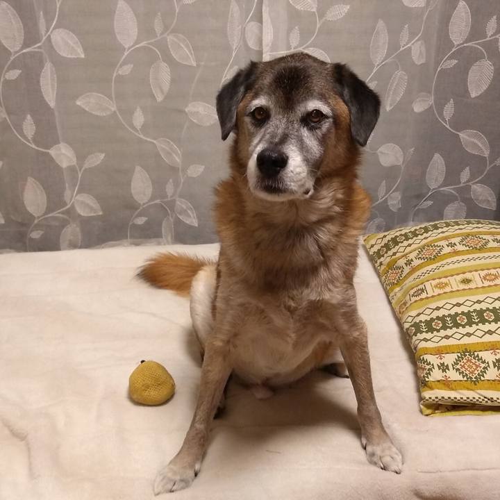 49d3972e 0dcf 4ce4 9b97 8f5a49672501 1574980479804