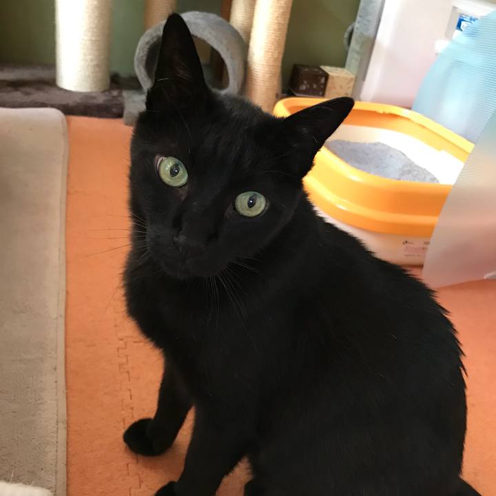 49d3ae22 9961 4ff8 8c87 e9adc66ad9cf 1526867370117