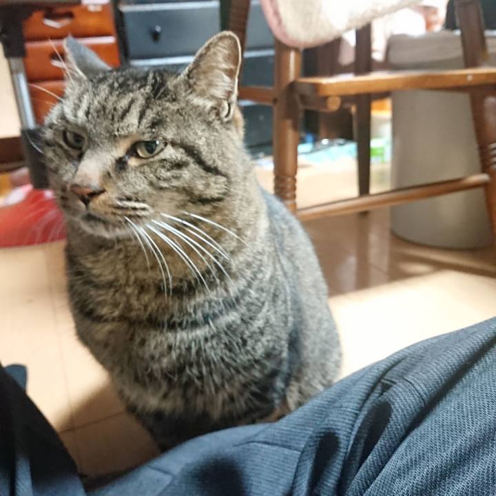 49d3f0bb e487 4091 8e93 4c2ca46940ac 1640174183573