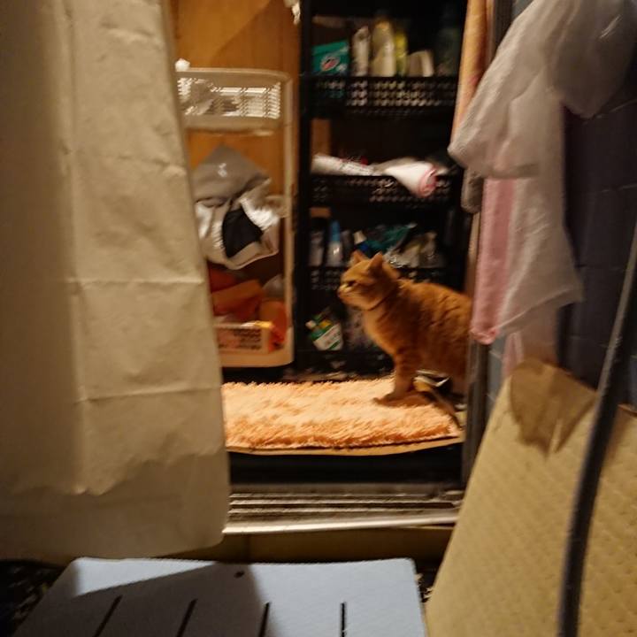 49d3fa08 fdb0 49dd af87 4f37514cd643 1579264568537