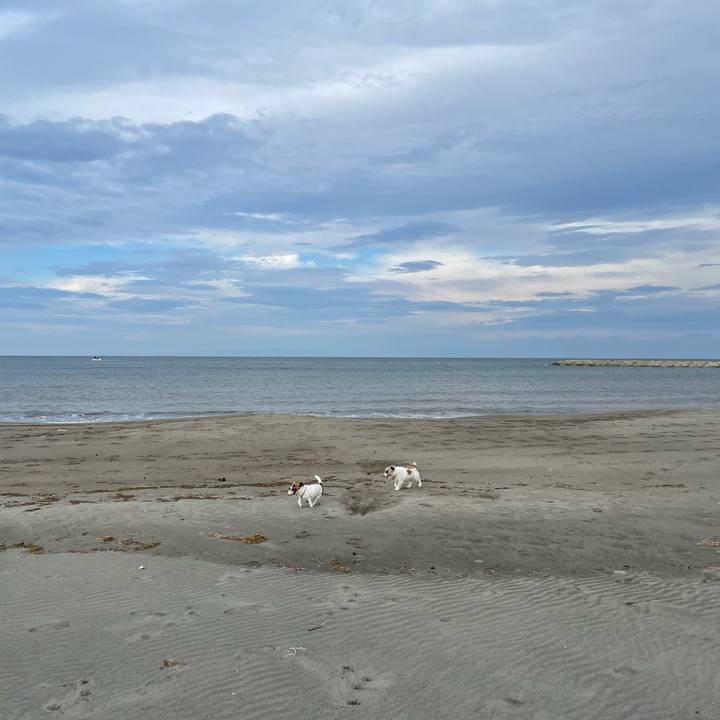 49d402d2 2975 424d b2a6 e3bf6a6ef6dc 1697758283104