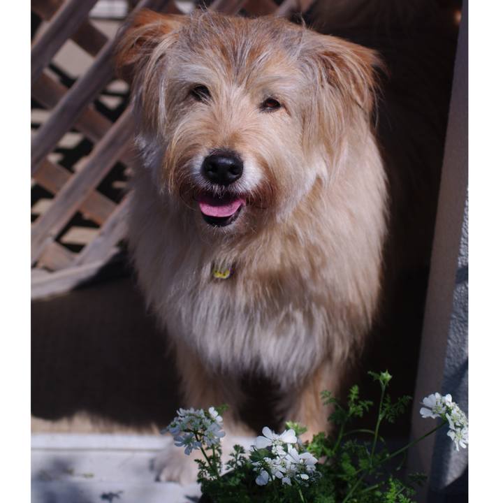 49d41d0e 6266 4b89 b0e2 f190eda886fb 1588825949504