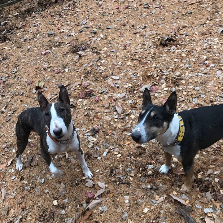 49d447b3 f74b 4db4 8261 829e5b0a39a2 1510978513303