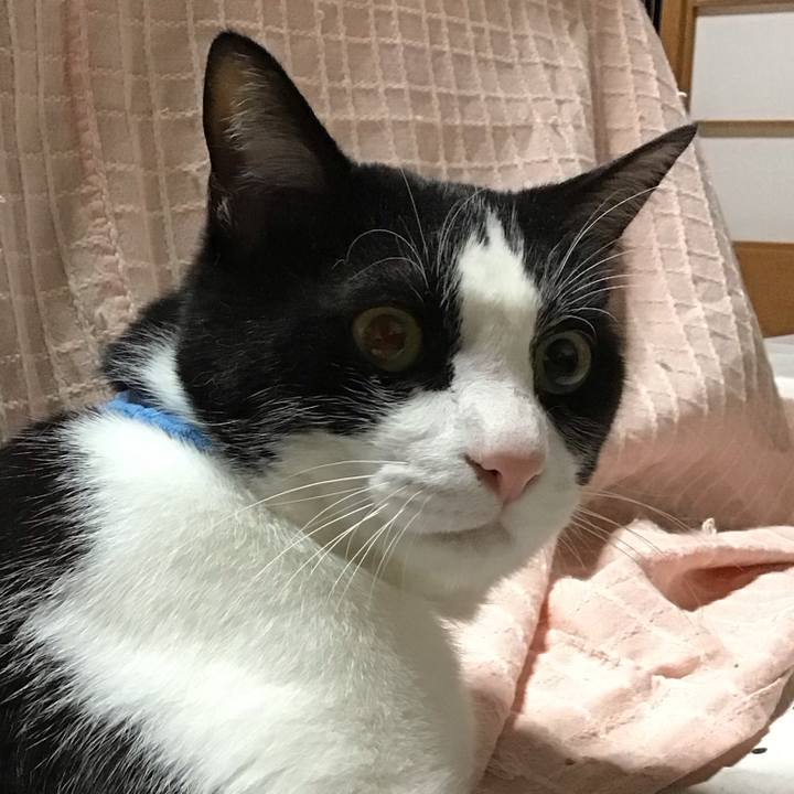 49d463a6 bb73 4a7e 86c2 63324da2bc2e 1683554133152