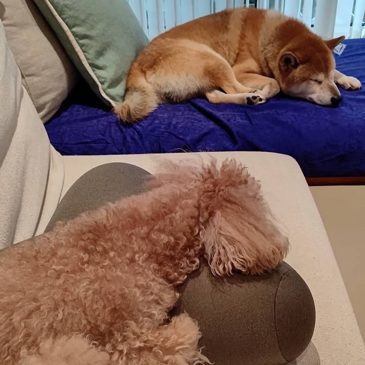 49d474e1 4f87 4f19 a533 13f2c16c71f2 1633064625303