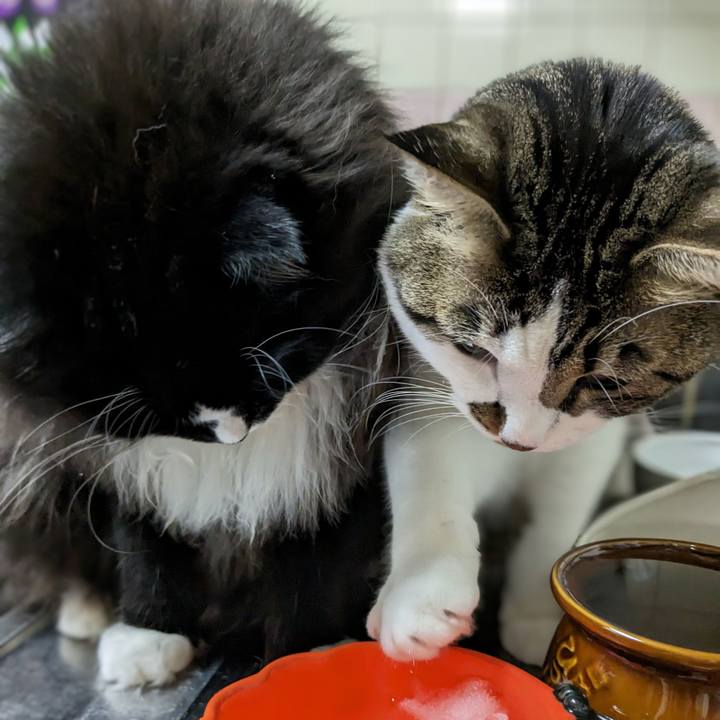 49d48945 216d 4747 bf58 53330a944be8 1692373078737