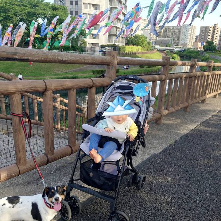 49d4b6a9 65e4 46e8 b12c 2c9cb9fde919 1683291307887