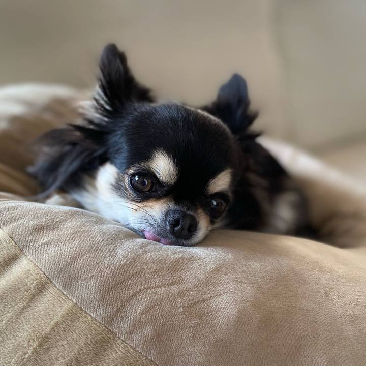 49d4bf63 ca77 4c56 8b95 8f2779266d5c 1651563437928