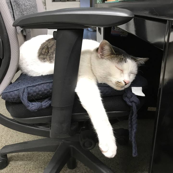 49d4ca64 3585 411a b0d7 600192e64618 1521533866331