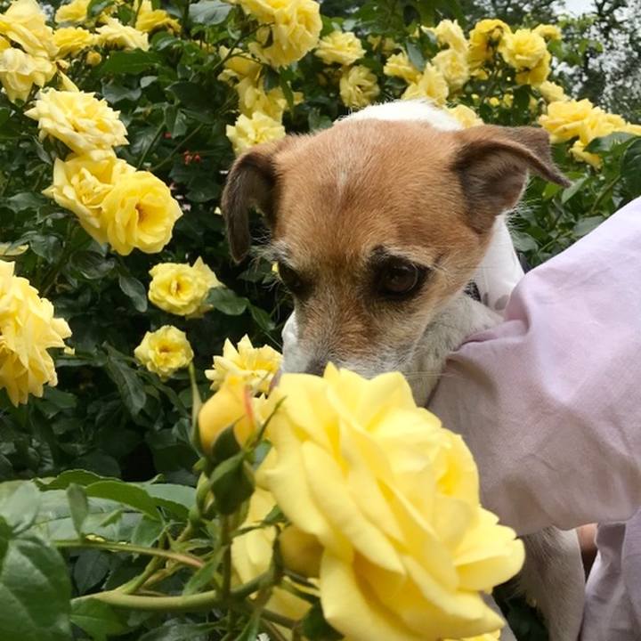 49d4d78b 9b3d 4e1d 8a4a e142fd8dc0ec 1559281257480