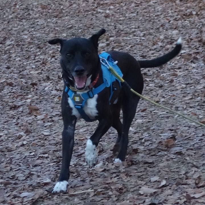 49d51ba2 a380 4457 845a 687b423f6f6a 1609372398116