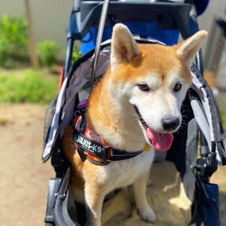 49d5444d 5708 4144 8943 978ca0f6f270 1628301799767