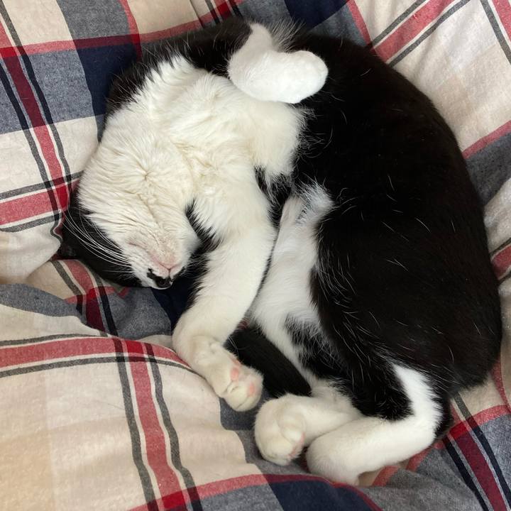 49d56187 2d26 4c22 a286 d878330a8610 1717393463341