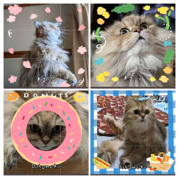 49d56ea7 8fbb 4694 8a51 9261903ac642 1744675150899