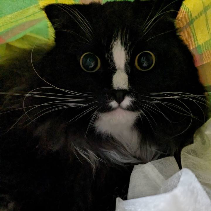 49d581da 30f1 4c0d a93e 451b4ca3366f 1691580363873