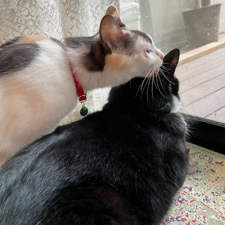 49d59291 5d36 46cd 8077 bd2d8fcd3939 1727269019439