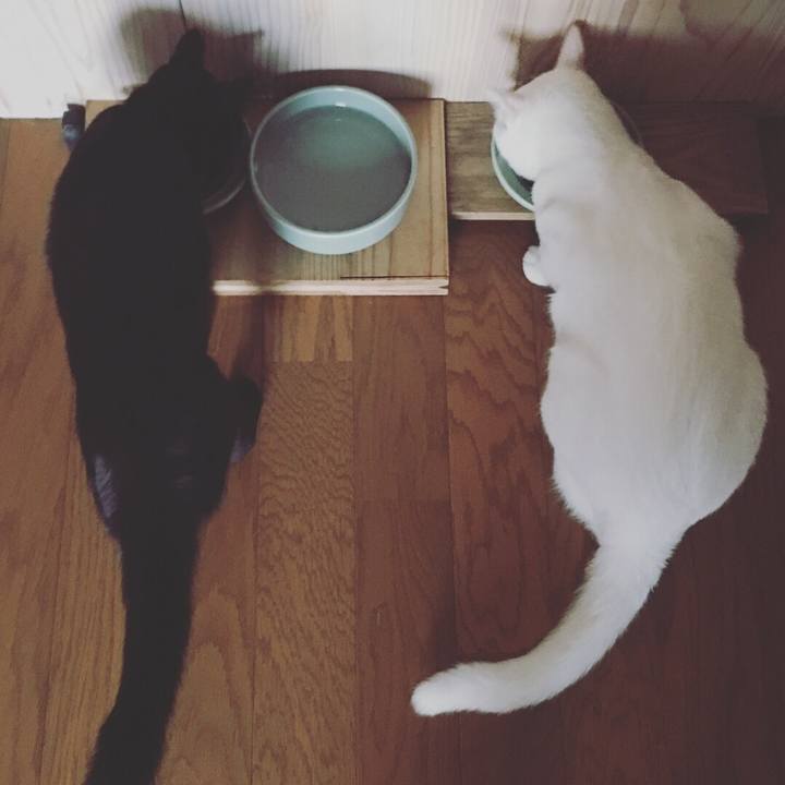 49d5b103 c0f5 45f9 846f fa327c05fb6b 1531692948818