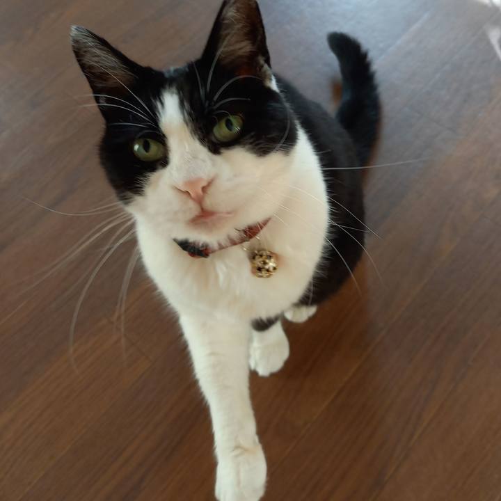 49d5b8d2 9360 4c62 9b8b deb1a5d2e3aa 1632043835865