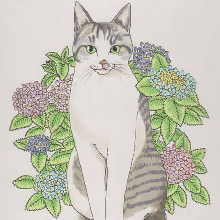 49d5d9fb 3819 41f0 85d7 af661cb6a573 1574254647981