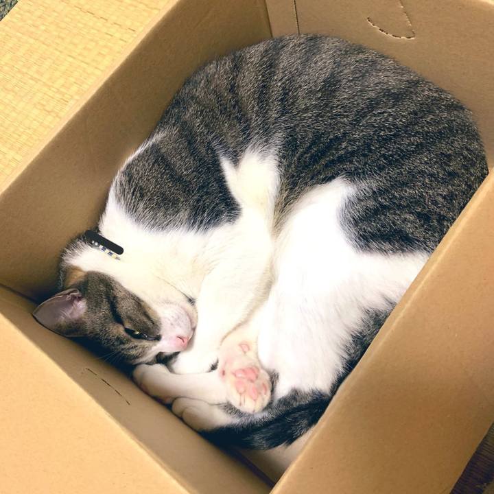 49d5f876 c382 4ec3 9b06 884e1c08914e 1570420014489