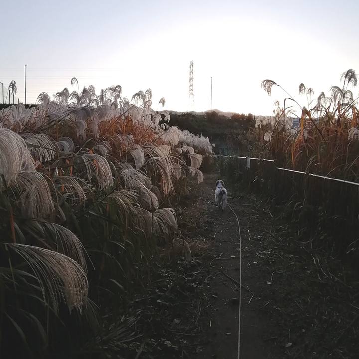 49d61660 eafe 4ee3 8382 5093e6a8aad2 1573863087405