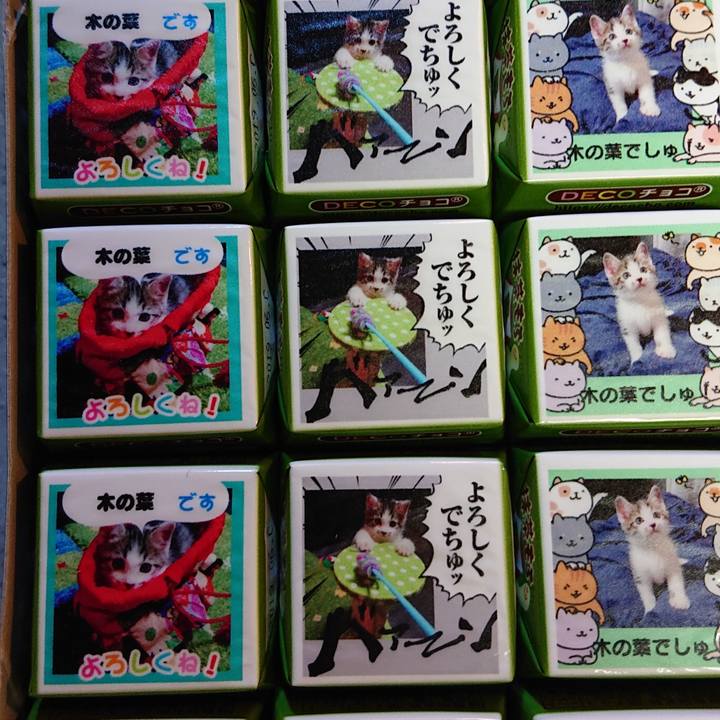 49d62773 3ddf 4dd5 a82b 0d92e17bd0e6 1540564264582