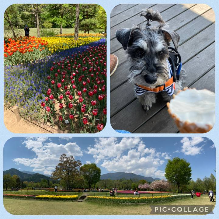 49d6be63 6e1e 42e2 9a90 6f2a38c40560 1746623853841